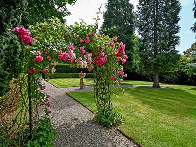 Picture 31